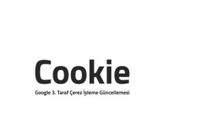 Google Artık 3. Taraf Çerezleri Engelliyor. Güncelleme Hakkında bilinmesi Gerekenler google cookie