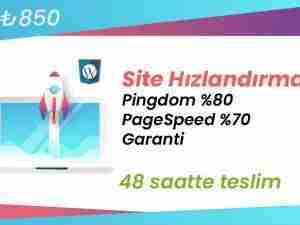 PageSpeed - Hize Hızlandırma